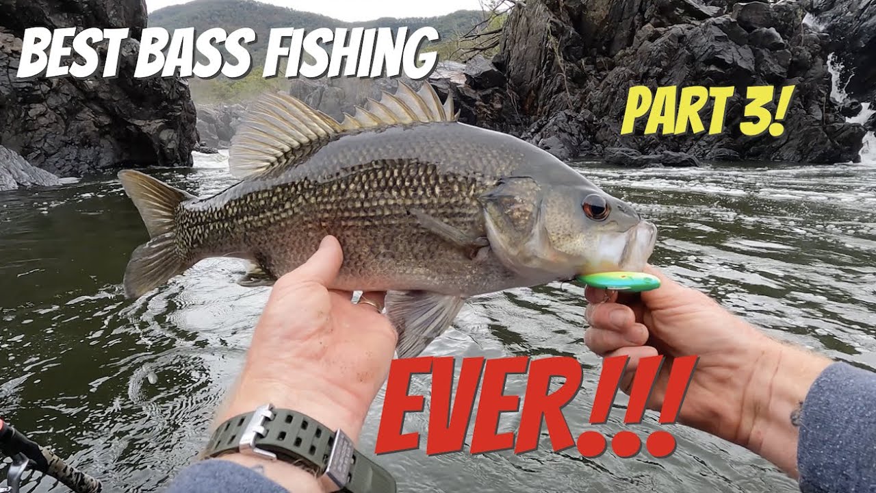 Best Australian Bass Fishing Ever!!! Part 3. The Mighty Clarence River Goes Off!!!!!