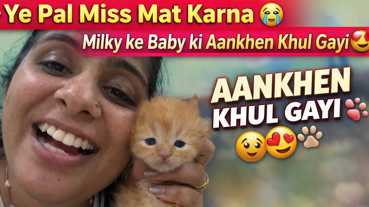 “Ye Pal Miss Mat Karna 😭 Milky ke Baby ki Aankhen Khul Gayi 😍🐱”