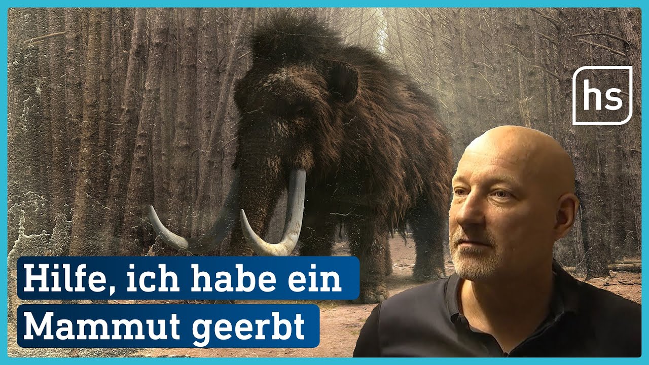 Illegales Erbe? Kuriose Fossiliensammlung | hessenschau