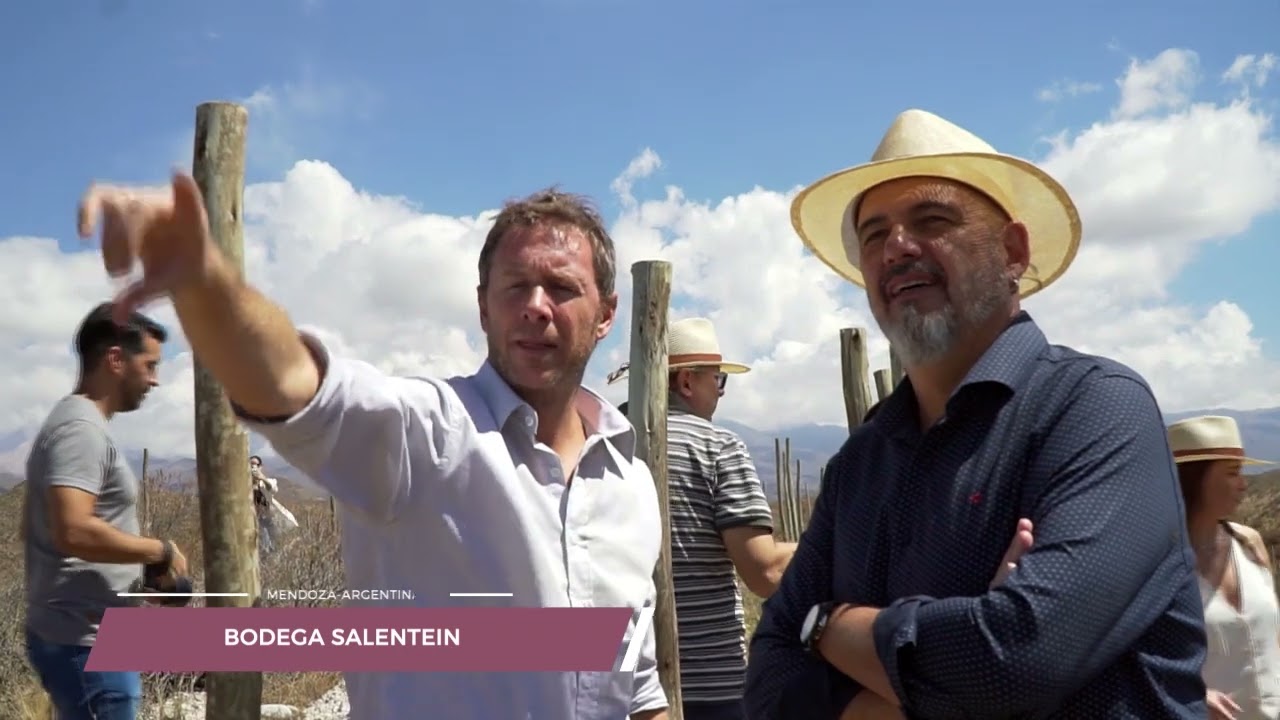 SALENTEIN - 25 VENDIMIAS - VALLE DE UCO