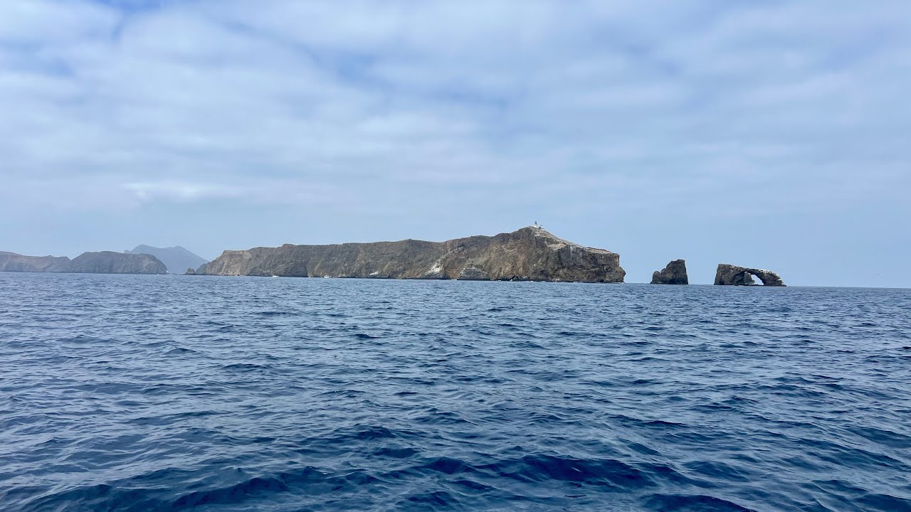 Anacapa Island whitefish and sheep&rsquo;s head