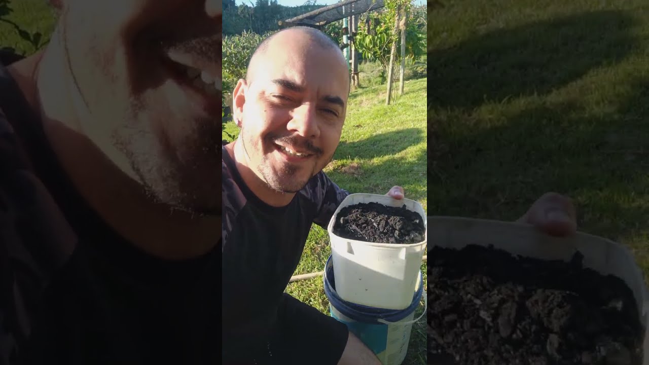 Destrave suas plantas com adubo caseiro poderoso! 🌱✨ #adubocaseiro #diyfertilizer