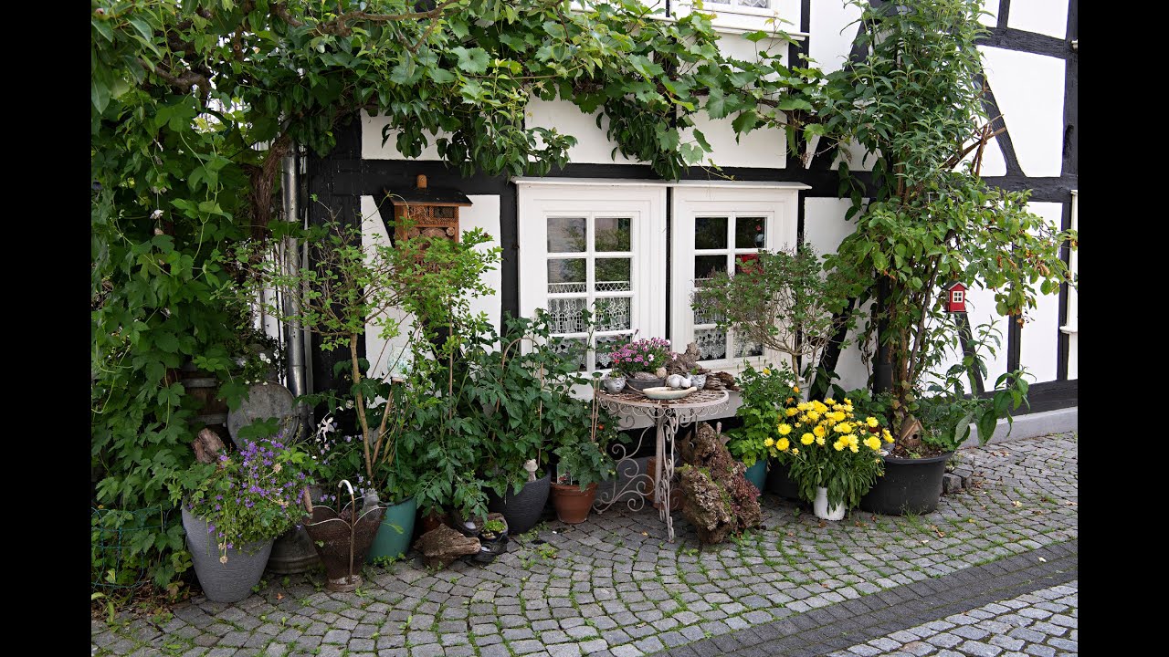 Freudenberg