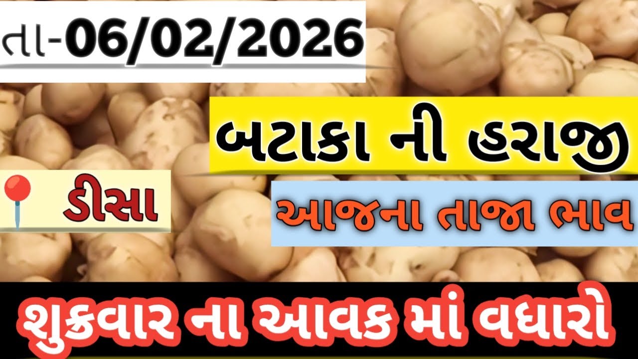 બટાકા ની હરાજી//Deesa bataka ni haraji//आलु मंडी #deesa #potato #aalu #new #viralvideo #trendingvide