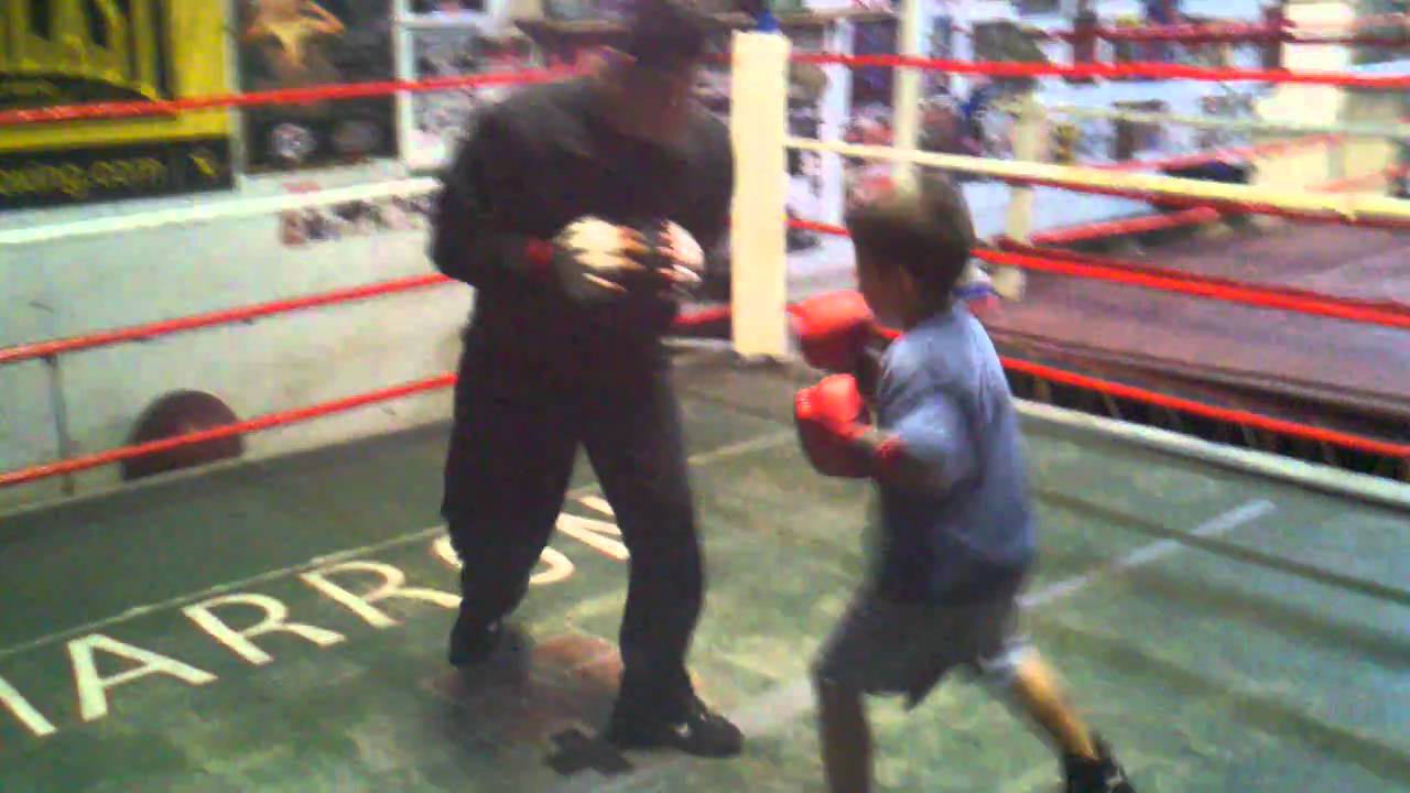 7 years old boxer julius ballo