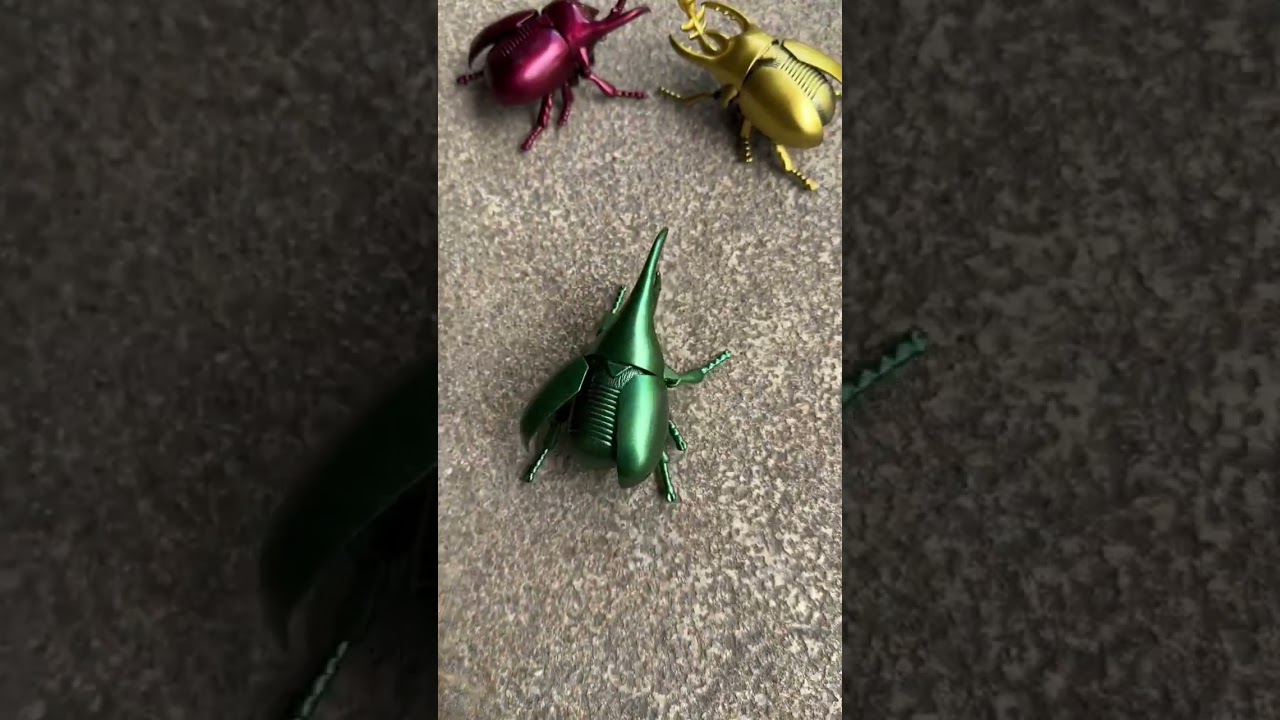 Bọ c&aacute;nh cứng chạy c&oacute;t #kawaii #cute #handmade #diy