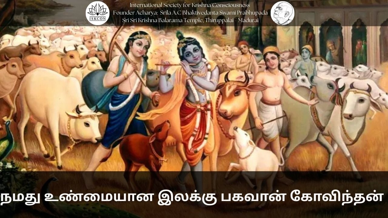 நமது உண்மையான இலக்கு பகவான் கோவிந்தன் || 22-02-26 #srilaprabhupada​ #shorts​ #iskconthiruppalai​