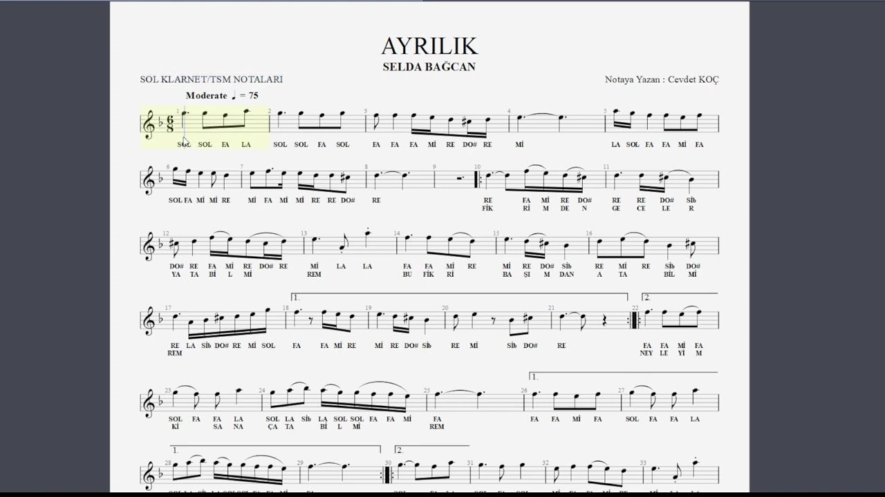AYRILIK SELDA BAĞCAN NOTA