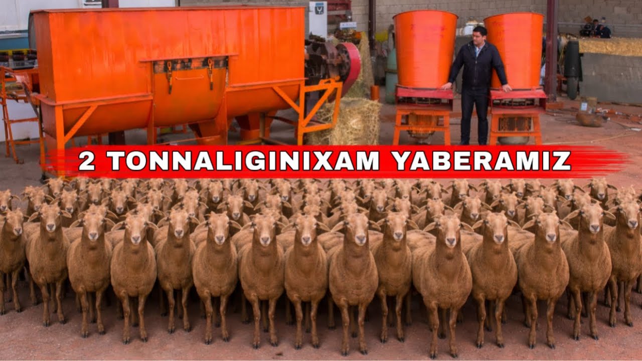 BUNI TEZ KORING BOMBA YANGILIK BUNAQASINI OLDIN KORGANMISIZ