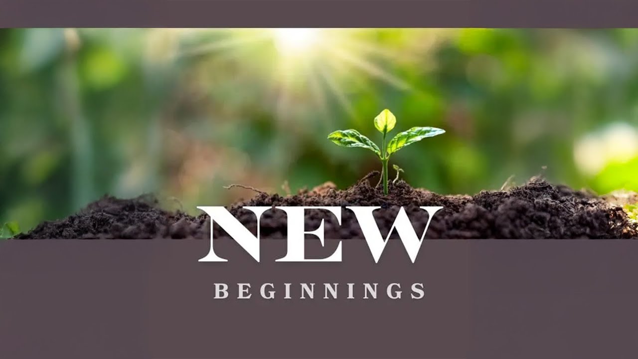 New Beginnings - Part 1 - In the Beginning
