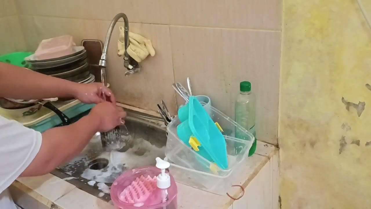 ASMR Washing Dishes Great Indian Kitchen