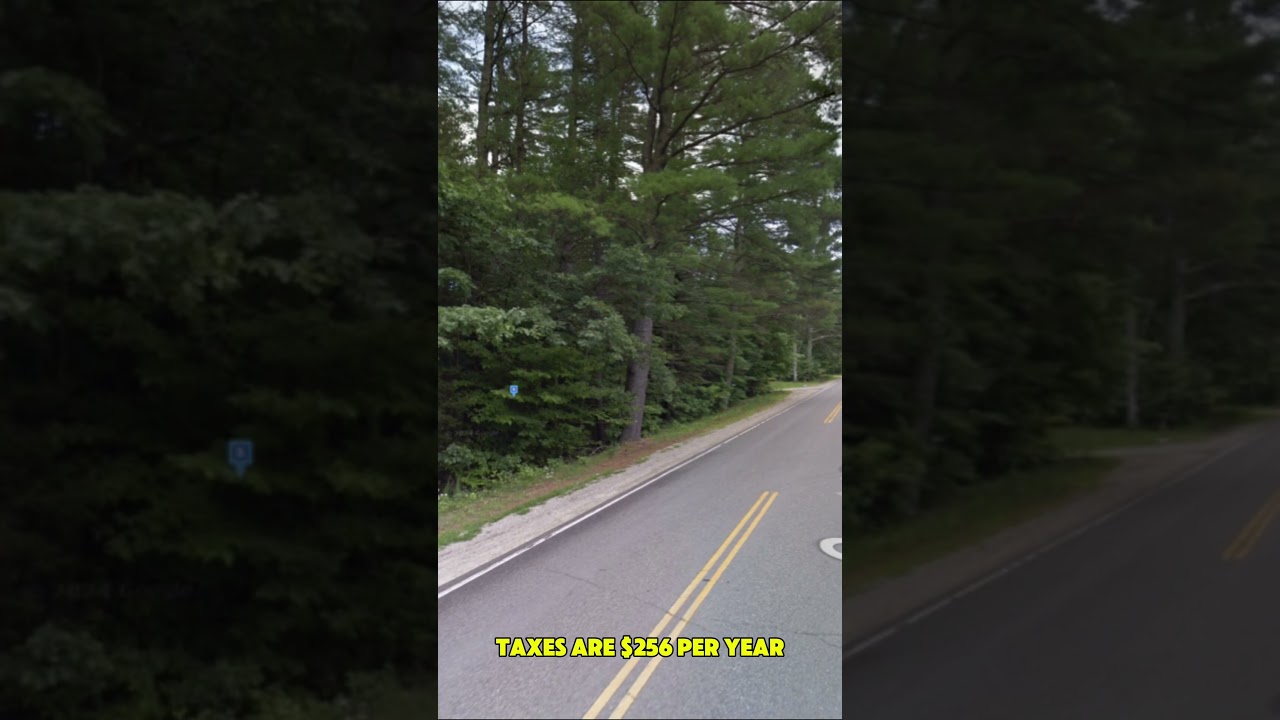 0.49 Acres for Sale in Madison, New Hampshire #land #newhampshire #property #fyp #viralvideo