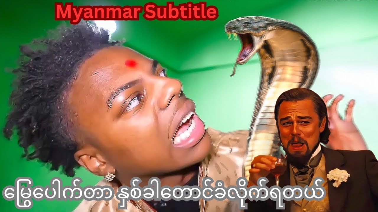 IShowSpeed Bitten by a SNAKE in India!