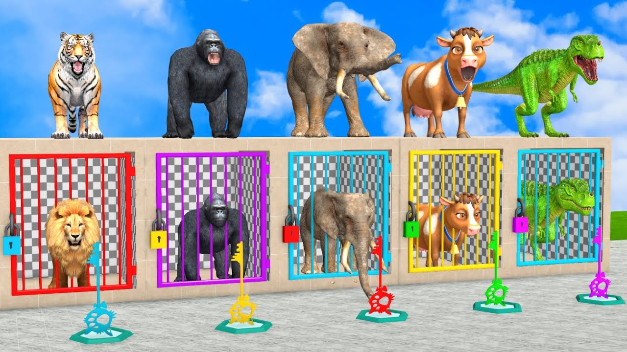 Long Slide Game With Cow Elephant Gorilla Hippopotamus Tiger - 3d Animal Game - Funny 3d Animals