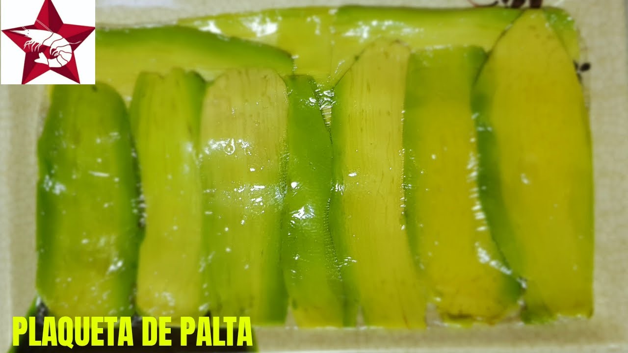 Como hacer plaqueta de palta fácil y rápido para envolver sushi/comida japonesa