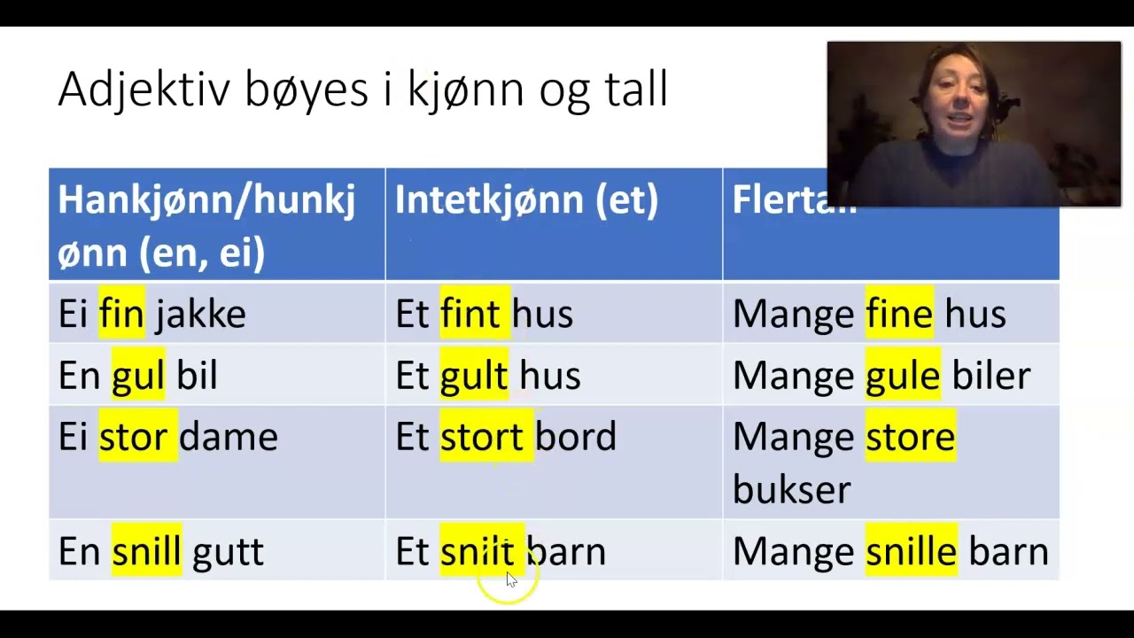 Adjektiv - nybegynner
