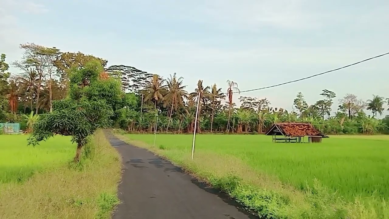 Alam indah Desa Buahdua