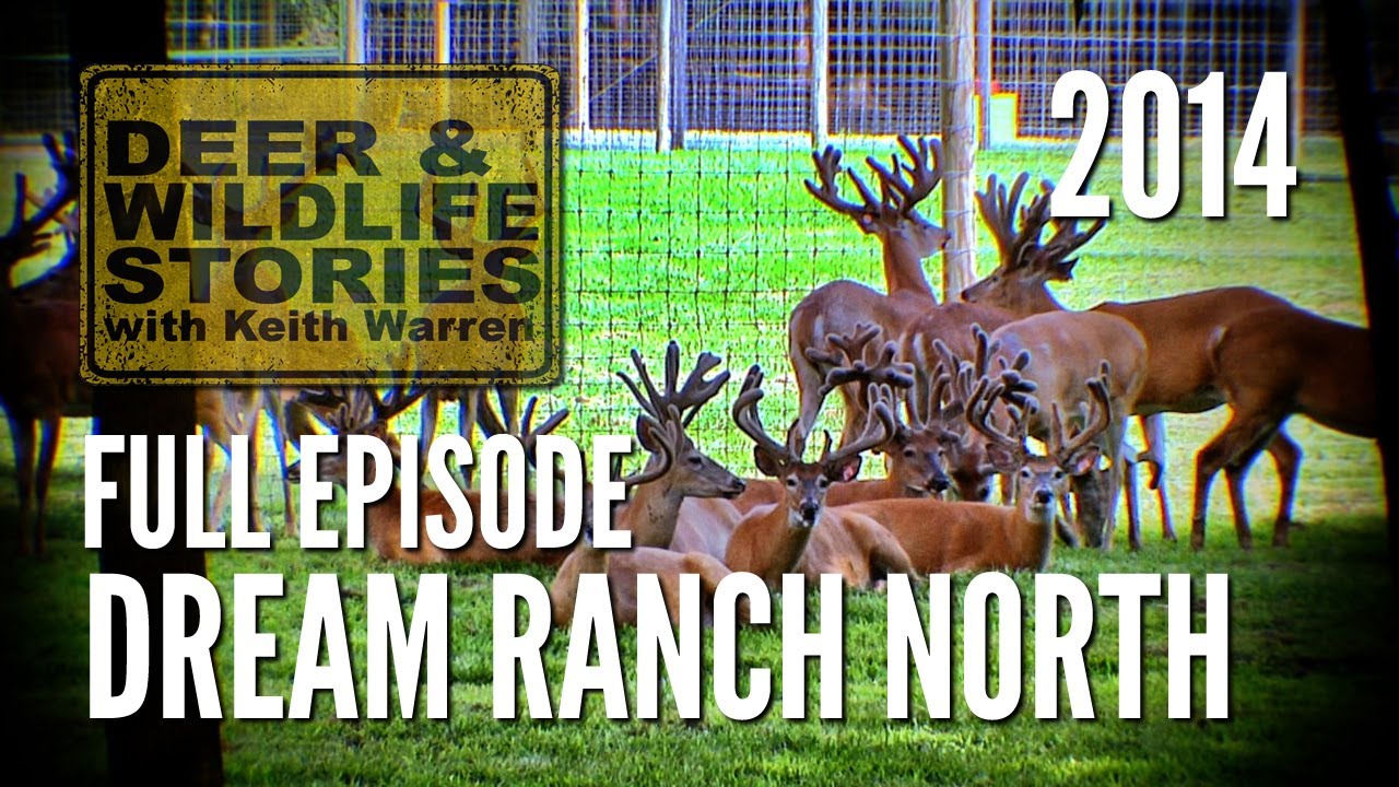 Dream Ranch North - Dreams For Sale | Deer Farming