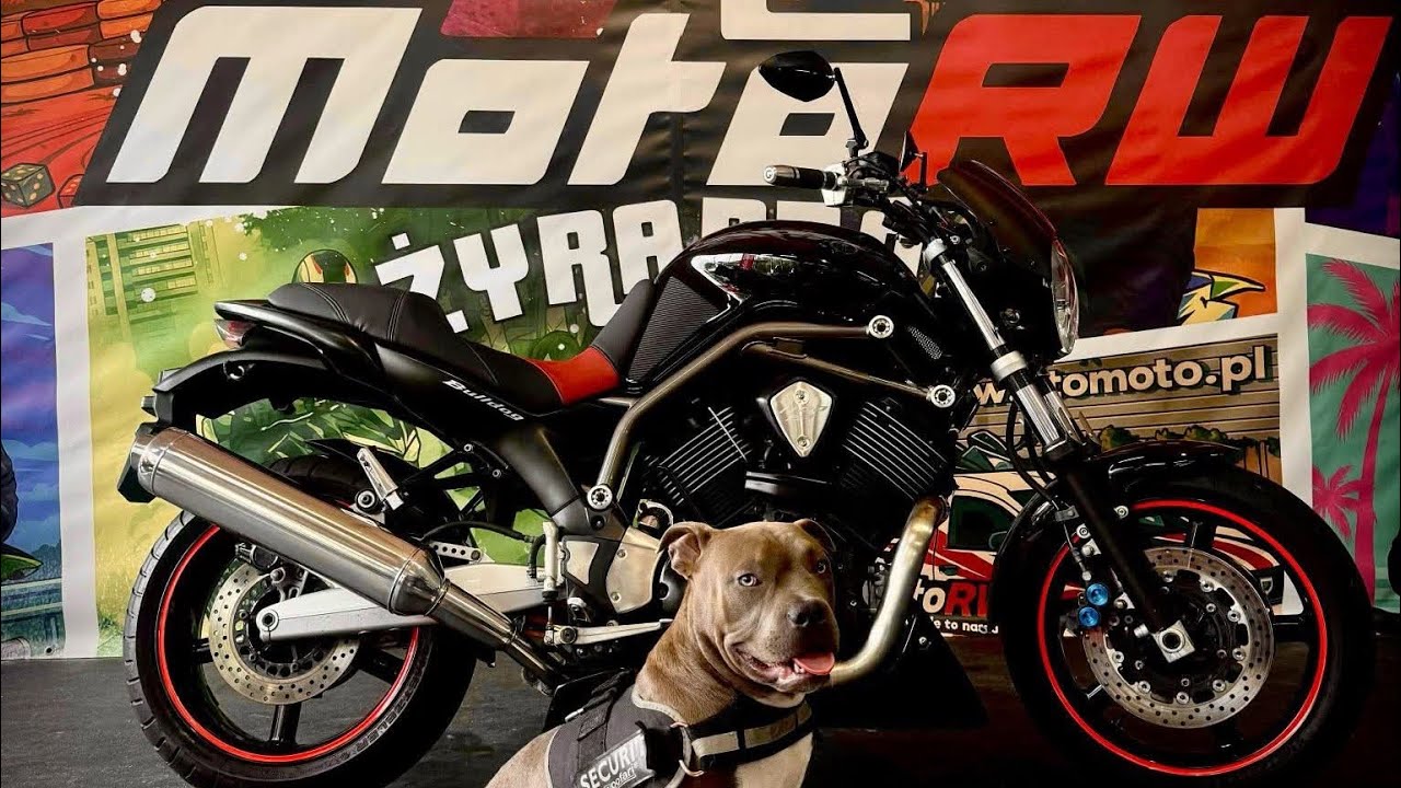 Yamaha BT 1100 BullDog 2004 MotoRW