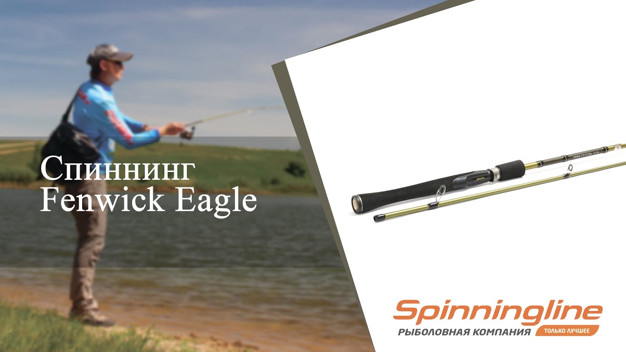 Спиннинг Fenwick Eagle