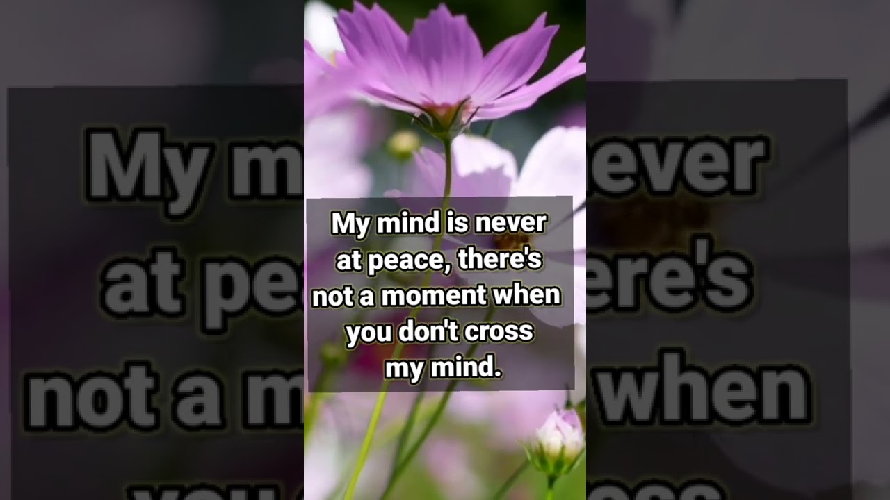 DM TO DF MASSAGE TODAY #twinflamemessage #dmtodfmessage #dmtodf #divinemasculine