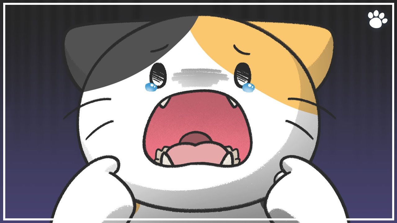 꼭 해야 할까? 고양이 양치하는 방법 4가지