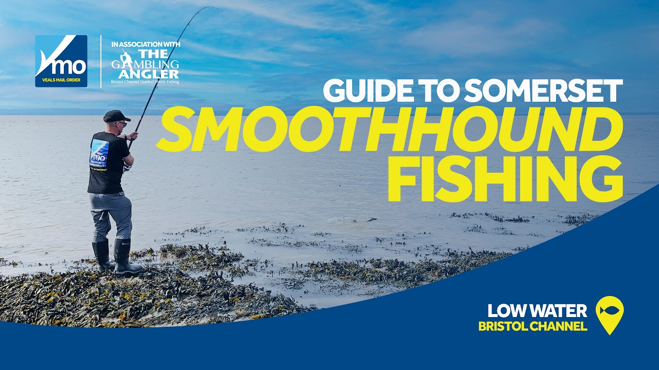 VMO Guide To Somerset Smoothhound Fishing