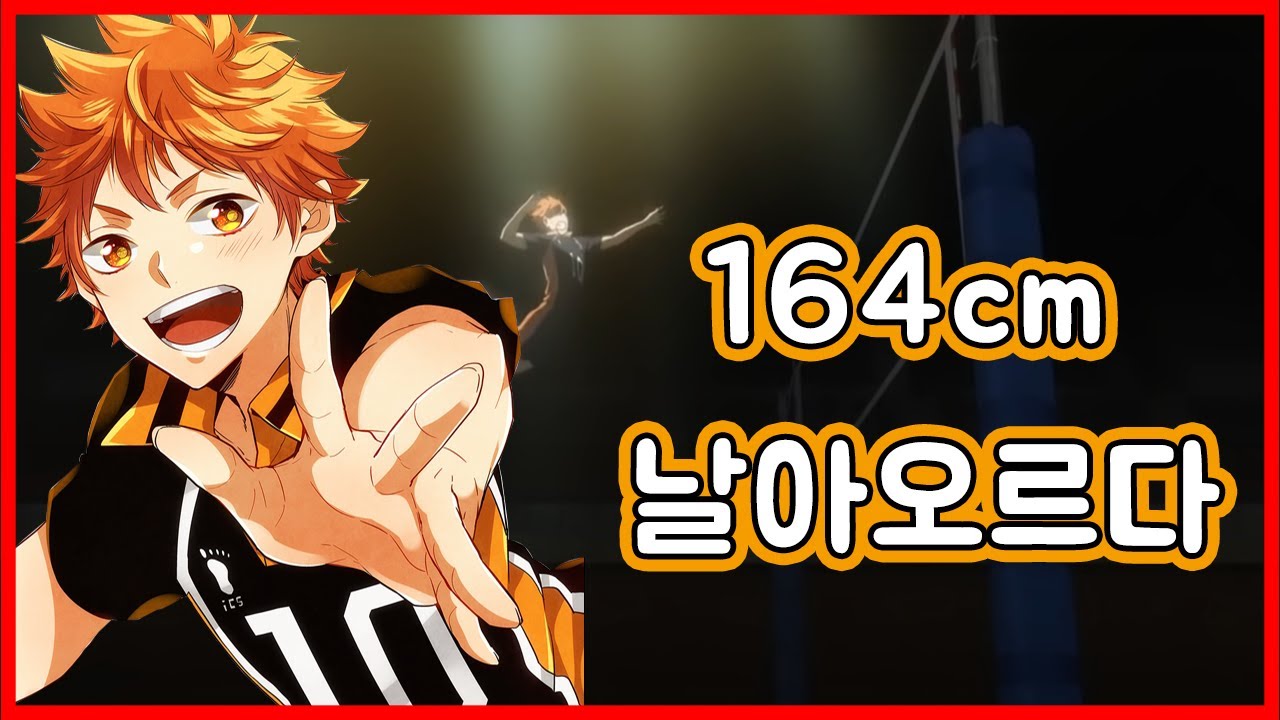 하이큐 히나타의 51가지 이야기 | 164cm 날아오르다 | 히나타는 롤로노아 조로의 팬?[하이큐!!, 히나타, 카게야마, 일향이, 배구만화, 하이큐완결]