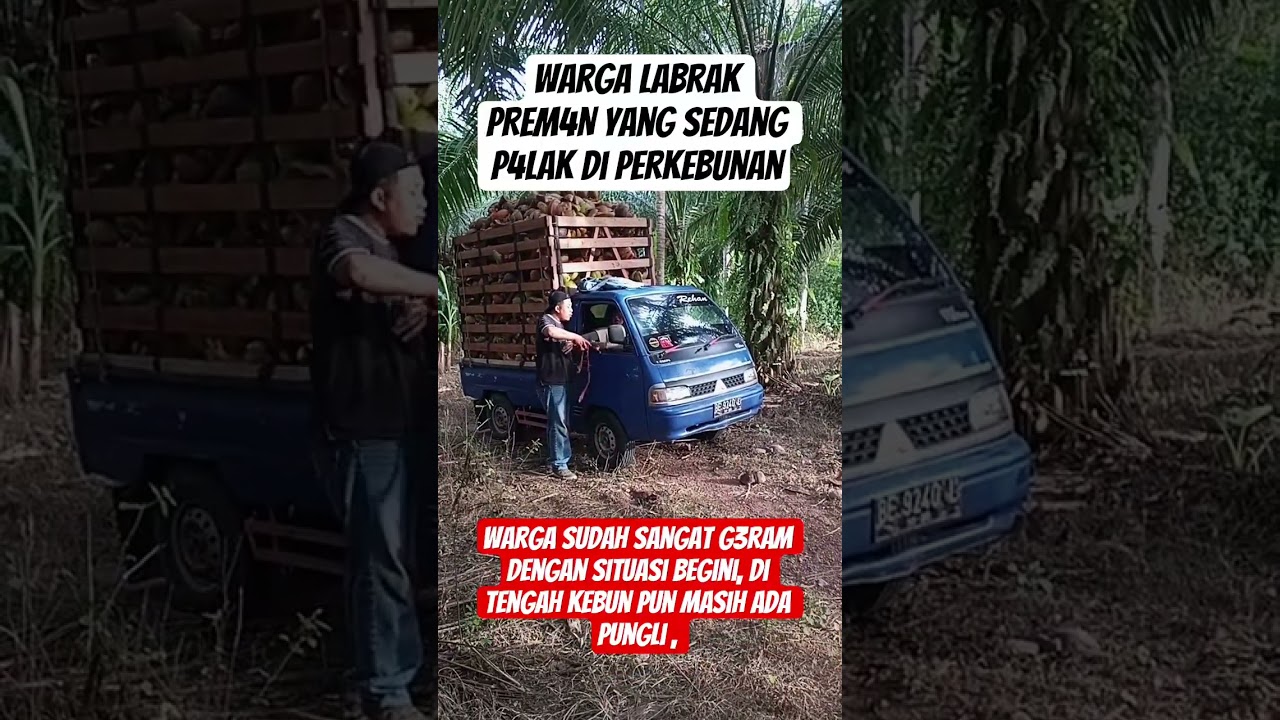 kang Dedi Mulyadi ❗ bantu viral kan #youtubeshorts #viral #shorts