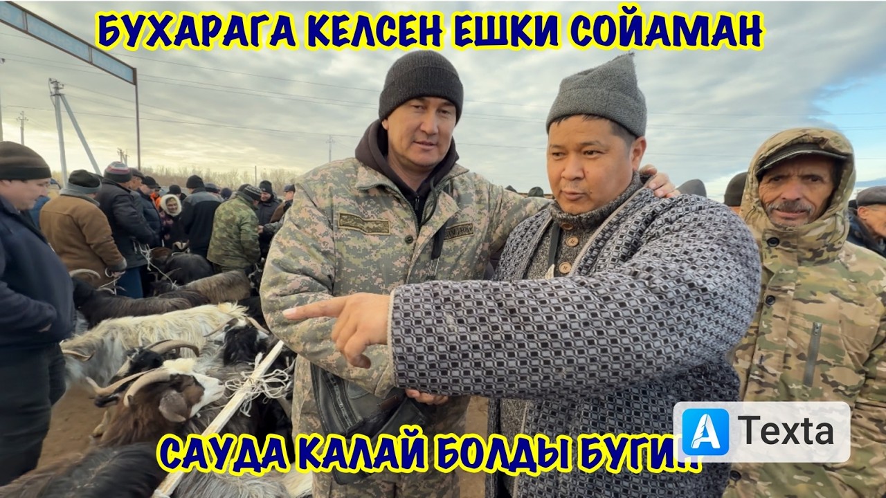 5-МАРТ/2026/ХАЛКАБАД МАЛ БАЗАРЫ/МАЛ БАЗАР 2026/СКОТНЫЙ РЫНОК/ДЕМ БЕРМЕС МАЛ БАЗАР