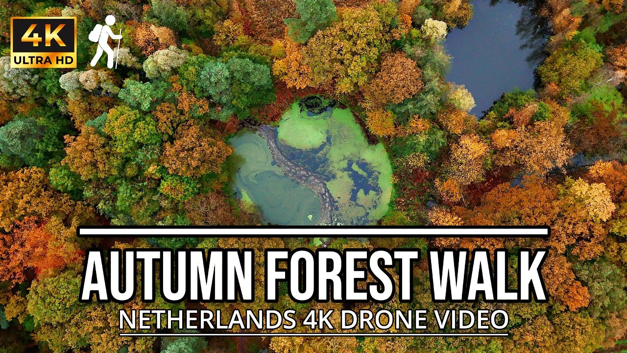 Relaxing Autumn 4K Drone Video | 🇳🇱 🍂 2025 Autumn | Nature Calming Music
