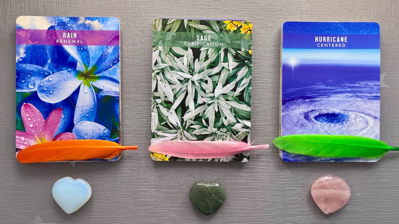 💌 Pick a Card | 🌈 Your Guardian Angel and Your Spirit Guides Have a Message 💕| Teacup Tarot