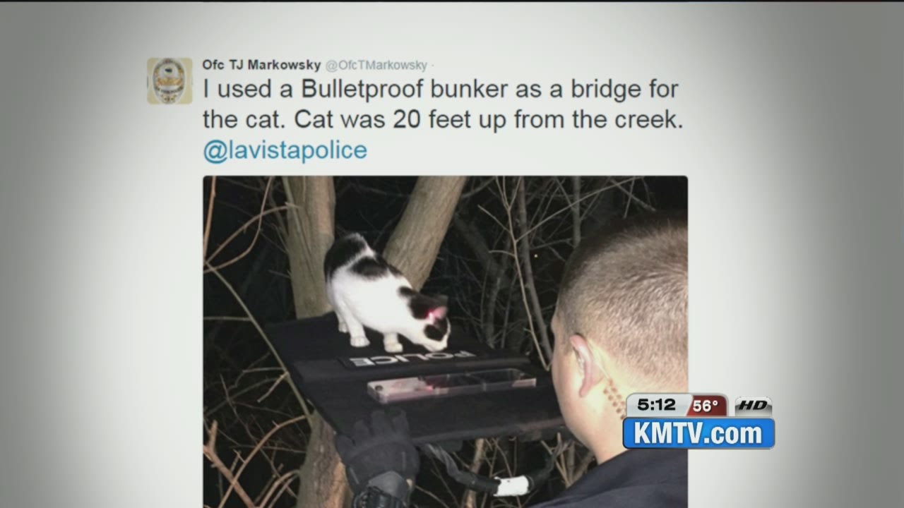 La Vista police officer tweets cat rescue from tree