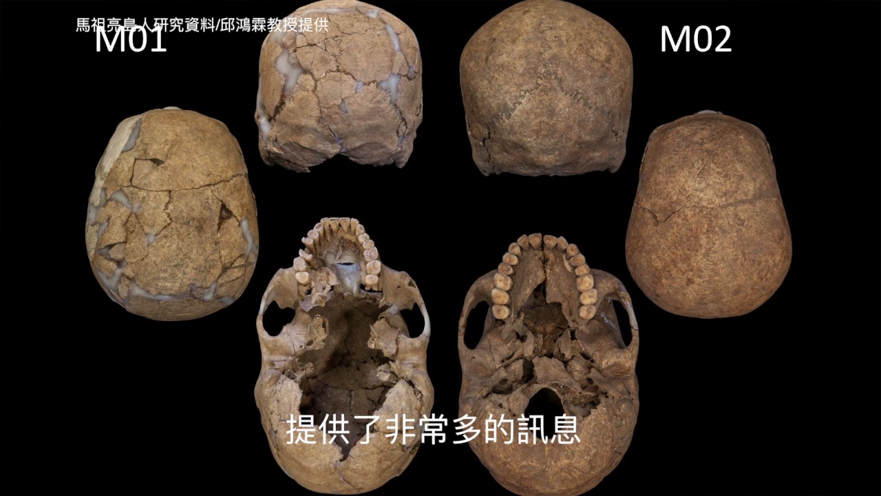 齒骨裡的線索～人骨考古學家邱鴻霖