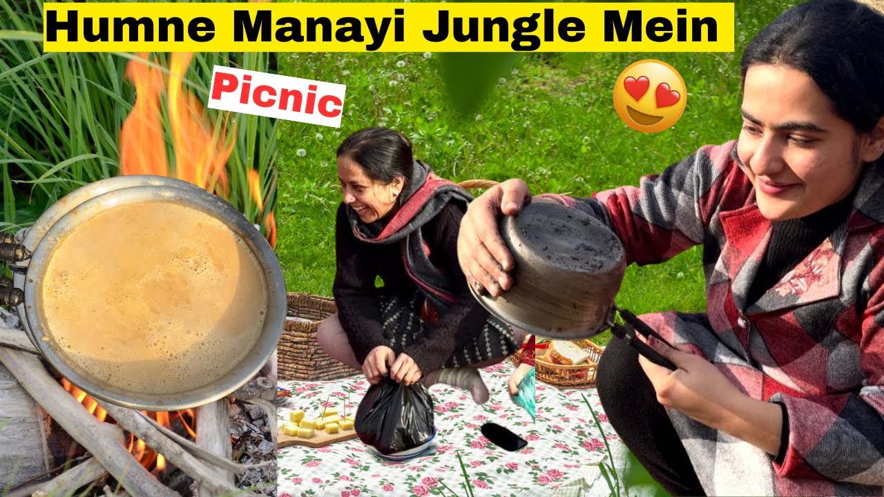 Humne Manayi Jungle Mein Picnic😍
