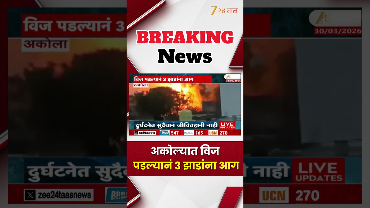 Akola | अकोल्यात विज पडल्यानं 3 झाडांना आग | Zee24Taas