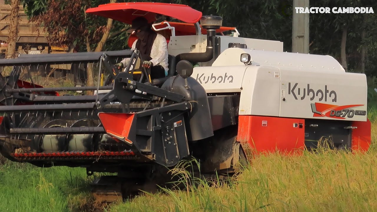 Powerful Rice Harvester At Work In Paddy Field | Kubota DC70Plus 2021 Rice Cutting Machine Working