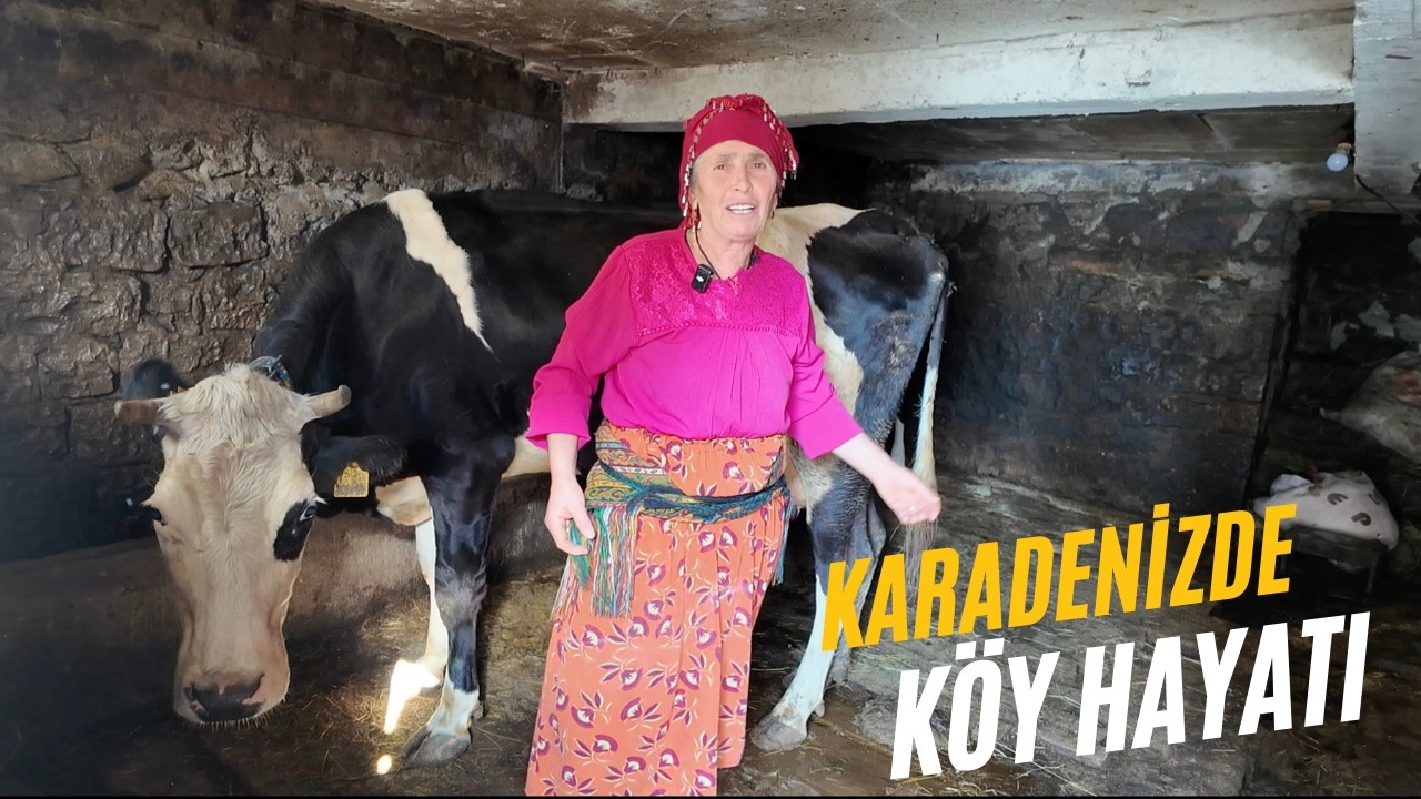 Karadeniz Köylerinde Zorlu Yaşam | Köy Belgeseli | Belgesel