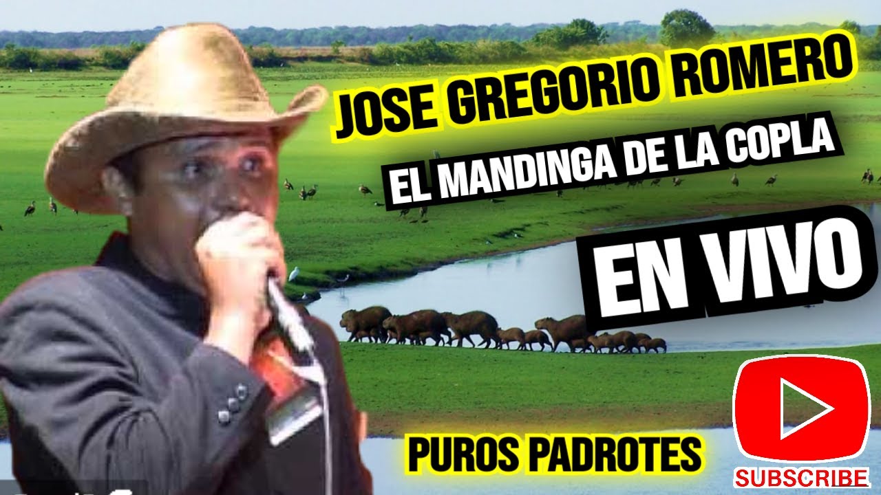 JOSE GREGORIO ROMERO EL MANDINGA DE LA COPLA EN VIVO