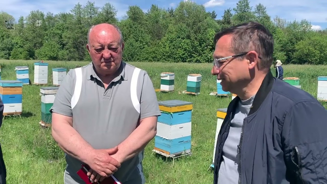 Висновки вощина Антикліщ