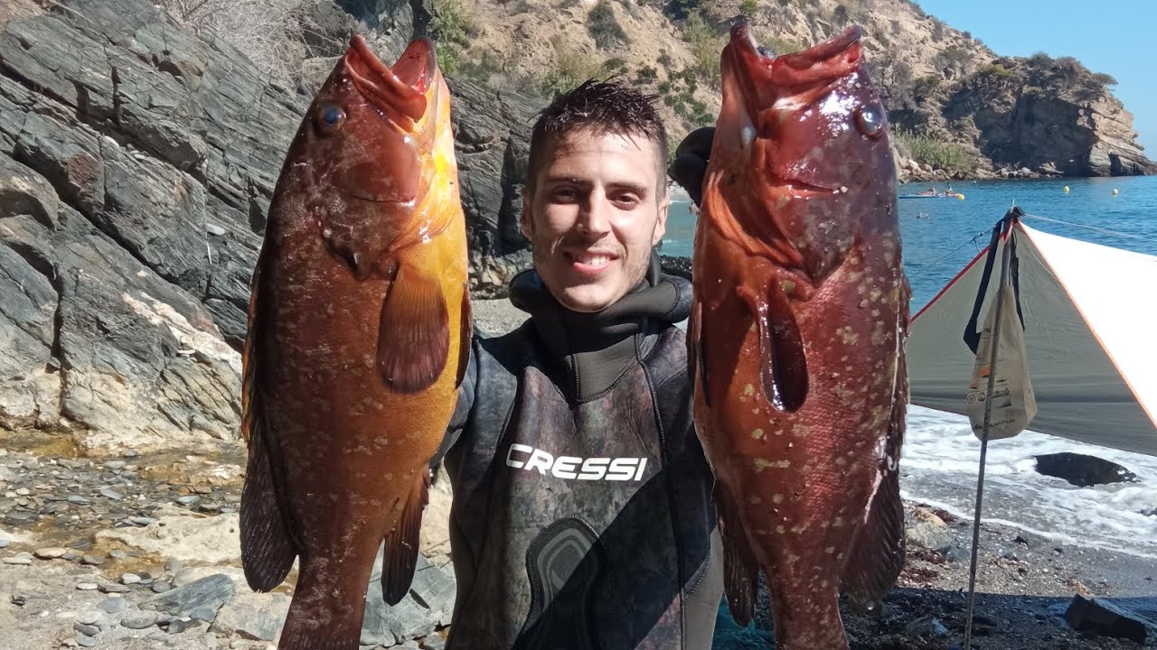 PESCA SUBMARINA, recopilación de capturas verano 2023, (Sargos, congrios, salmonetes..)