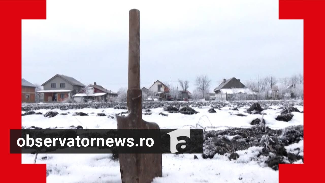 Criminalul de 13 ani din Timiş, ascuns de familie. Situaţie fără precedent după omorul din Cenei