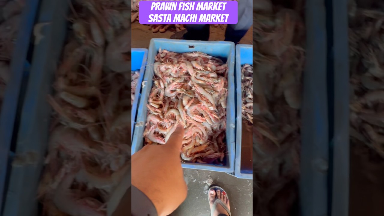 Fish Market | Bhaucha Dhakka | Mumbai Fish Market | Wholesale & Retail Market
