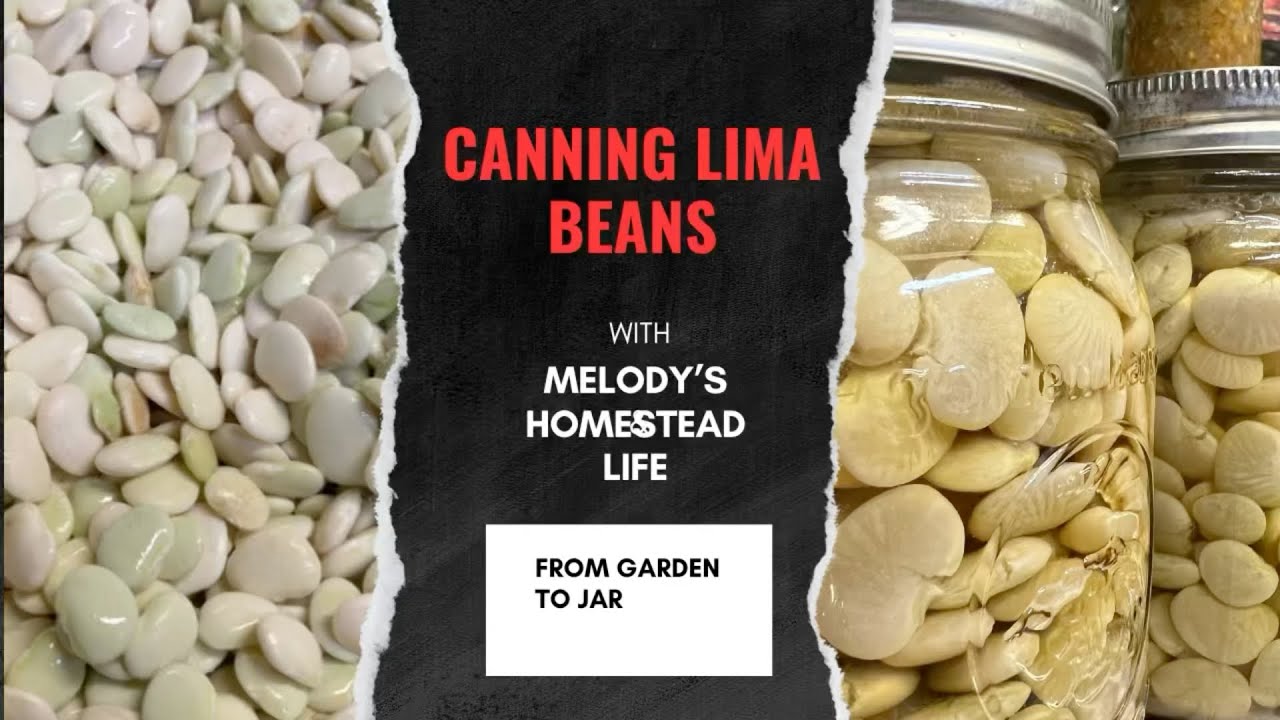 Canning Lima Beans