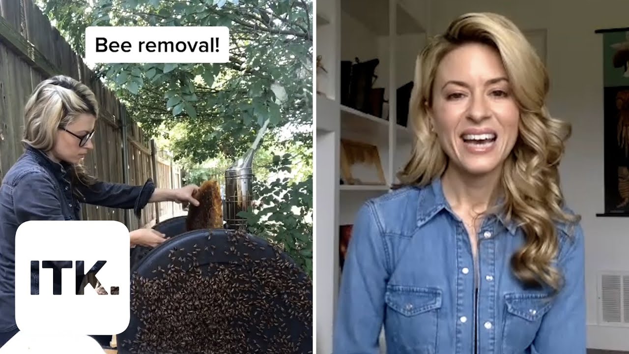 TikTok&rsquo;s viral Beekeeper responds to your FAQs