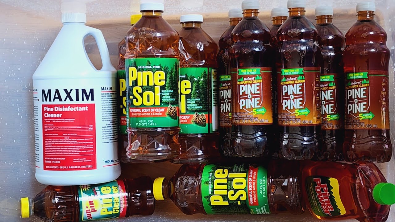 Sponge Squeezing 6 Bottles PINE-o-PINE | All My Favorite Cleaners