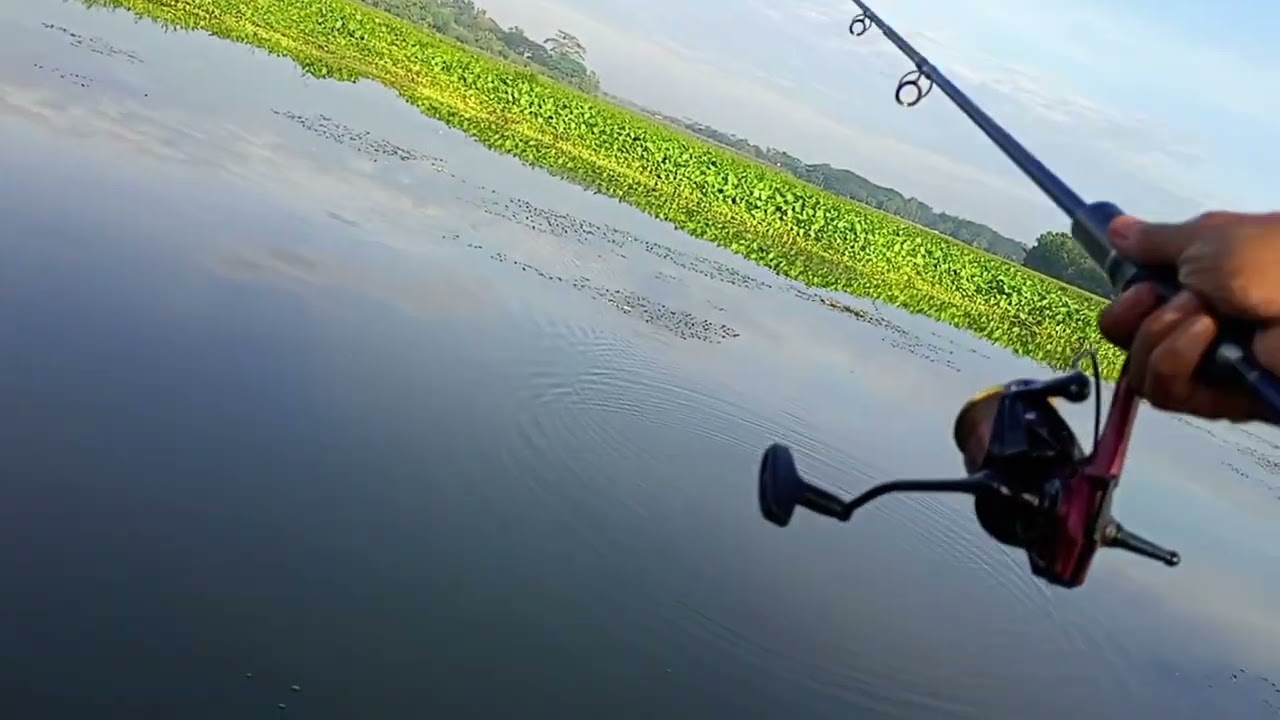 mancing casting menggunakan spining memang seru banget