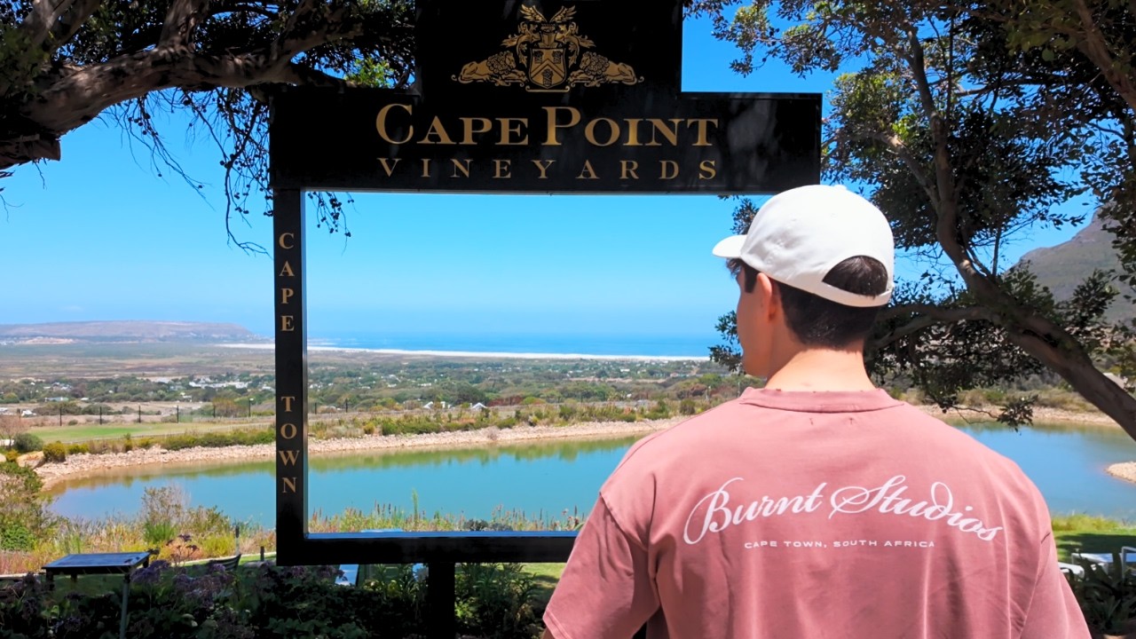 Lohnt sich dieses 50€ Wein-Picknick in Kapstadt? (CapePoint Vineyards)