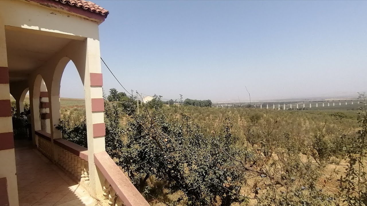 مزرعة فيرما 5 هكتارات وربع للبيع جهة مكناس نواحي لمهايا وتاوجطات ferme a vendre a fes meknes