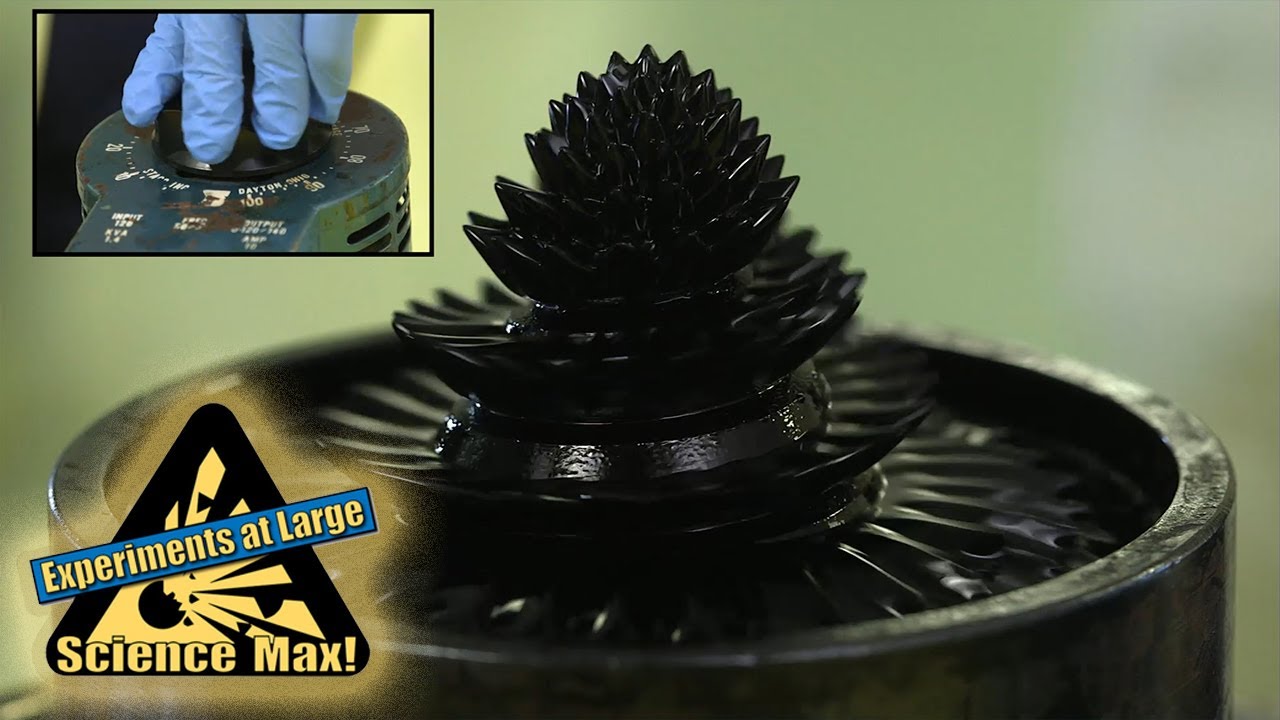 Science Max | MAGNETS | Experiments